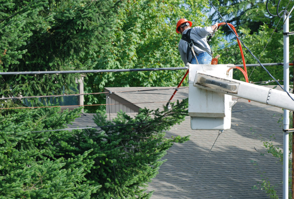 Worker trimming tree branches away from power lines