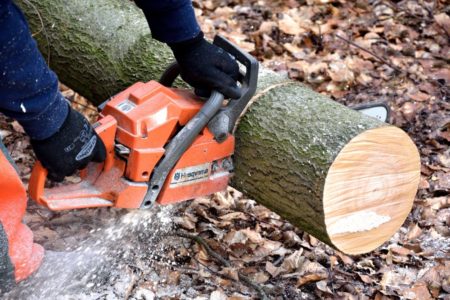 Husqvarna chainsaw cutting log over fallen leaves