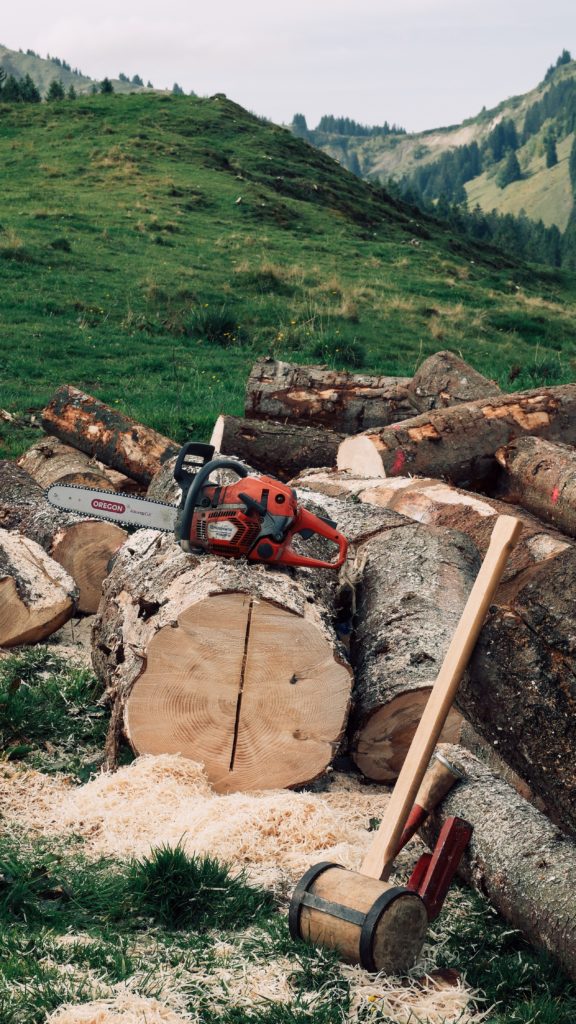 A red chainsaw sits on a pile of cut wood with green trees growing on hills in the background.