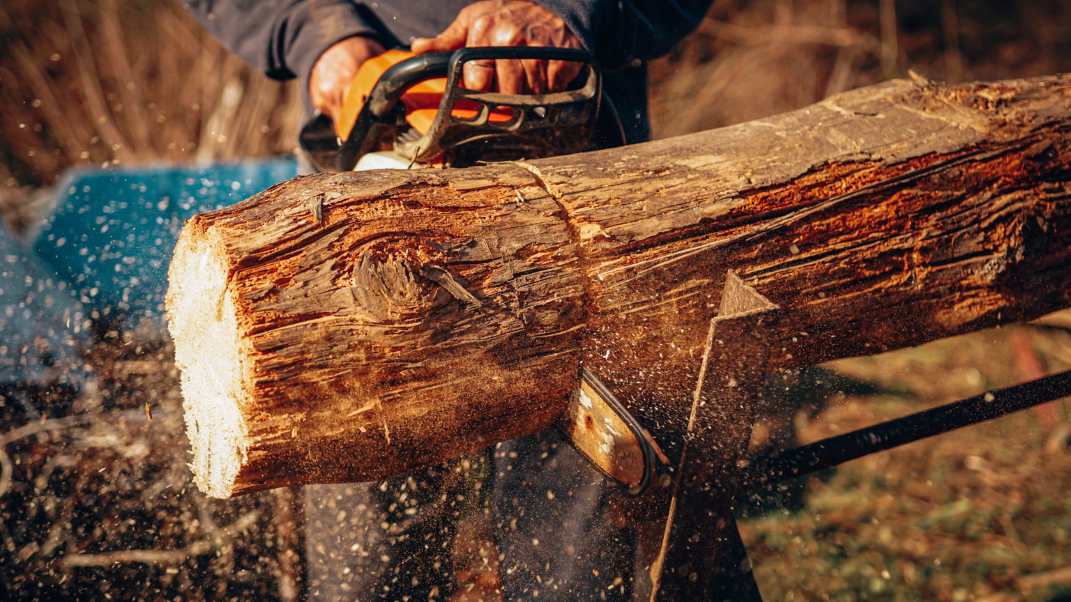 A man uses a chainsaw to cut through a log