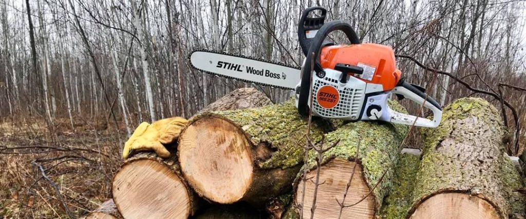 A chainsaw on top of a pile of recently cut logs