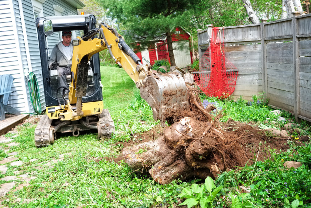 Heavy equipment constrution machine digging a stump from the ground.