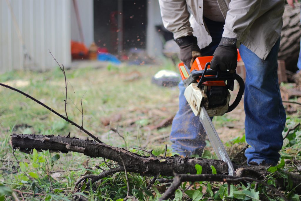A landscaper, wearing gloves and proper clothing for safety, cuts a thick branch with a chainsaw.